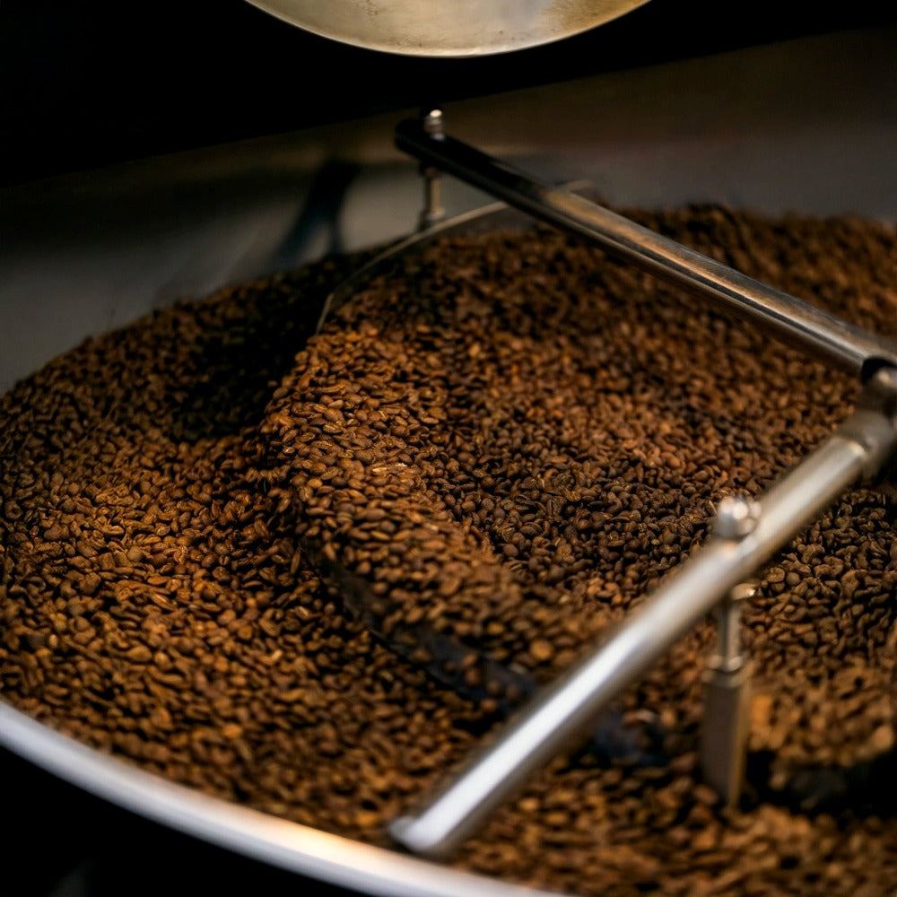 Freshly roasted beans in the cooling tray of the Lavender Coffee Boutique roaster