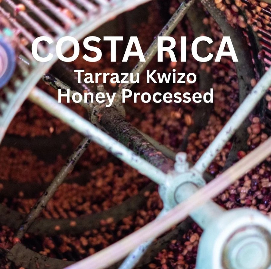 19 Coffee’s Costa Rica Tarrazu Kwizo Honey Processed label over coffee cherries in a processing drum